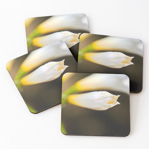 Item preview, Soft And White Lily Buds designed and sold by Joy Watson - Natural Light Photography .