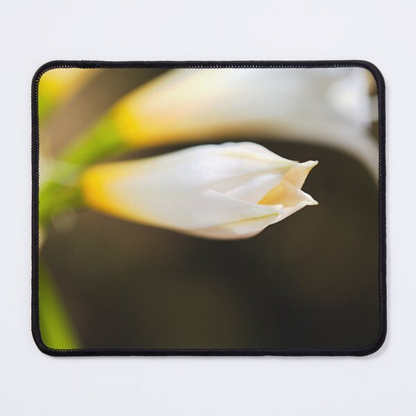 Item preview, Soft And White Lily Buds designed and sold by Joy Watson - Natural Light Photography .