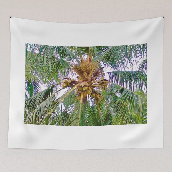 Item preview, Coconut Palm Tree designed and sold by TheLoner.