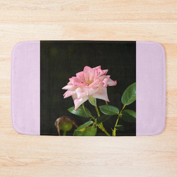 Item preview, Late Morning Pink Carpet Rose designed and sold by Joy Watson - Natural Light Photography .