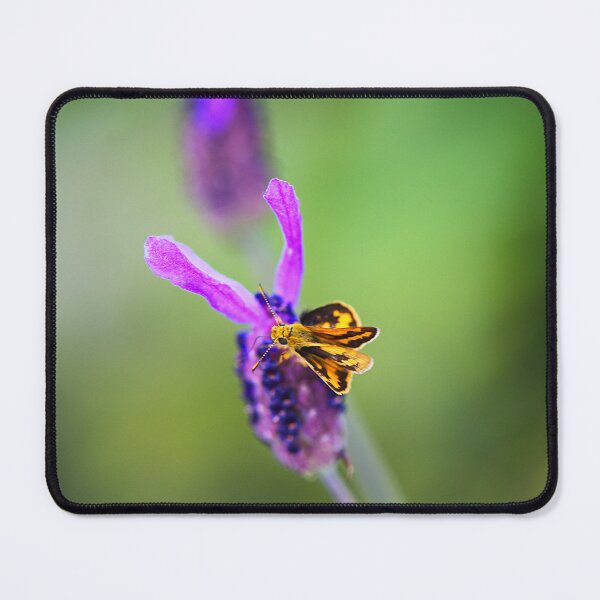 Item preview, Skipper Butterfly On Lavender Flower designed and sold by Joy Watson - Natural Light Photography .