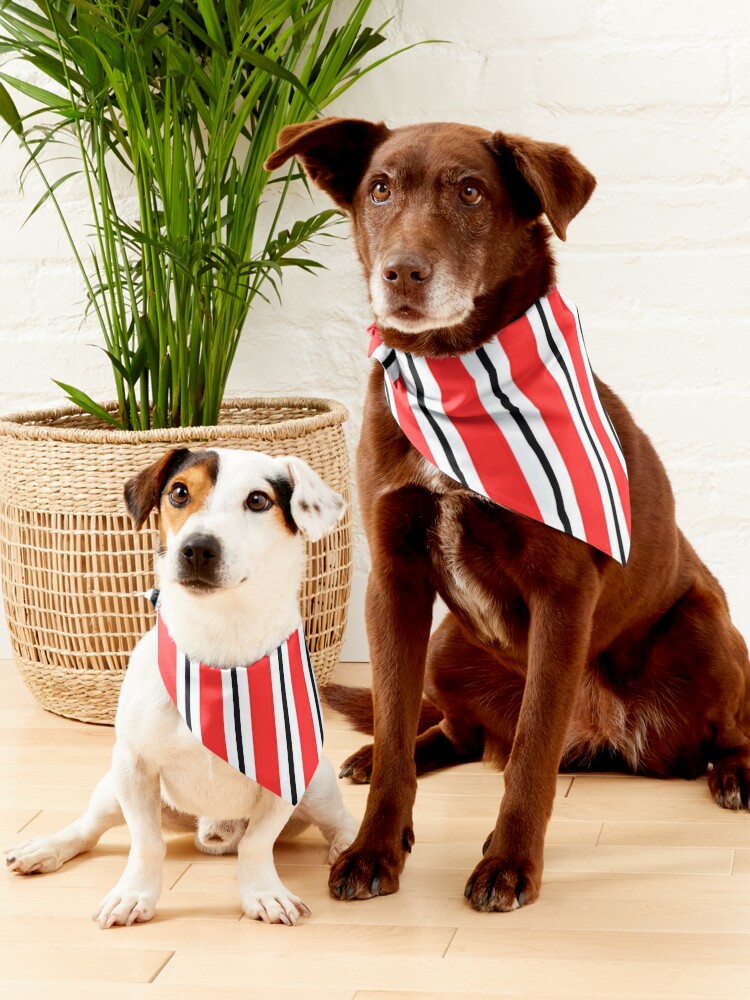 Aston villa dog outlet bandana