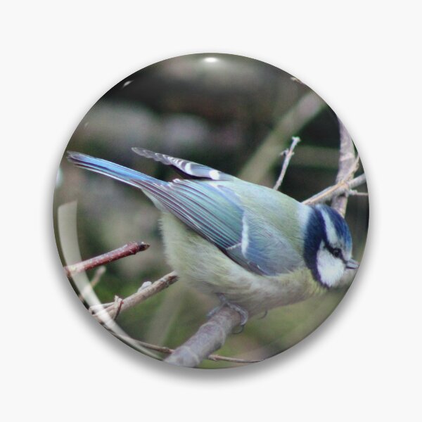 Item preview, blue tit designed and sold by KathleenDawson.