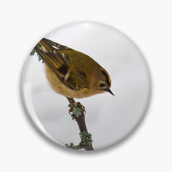 Item preview, Small smaller Goldcrest designed and sold by Jouko Lehto Photography.
