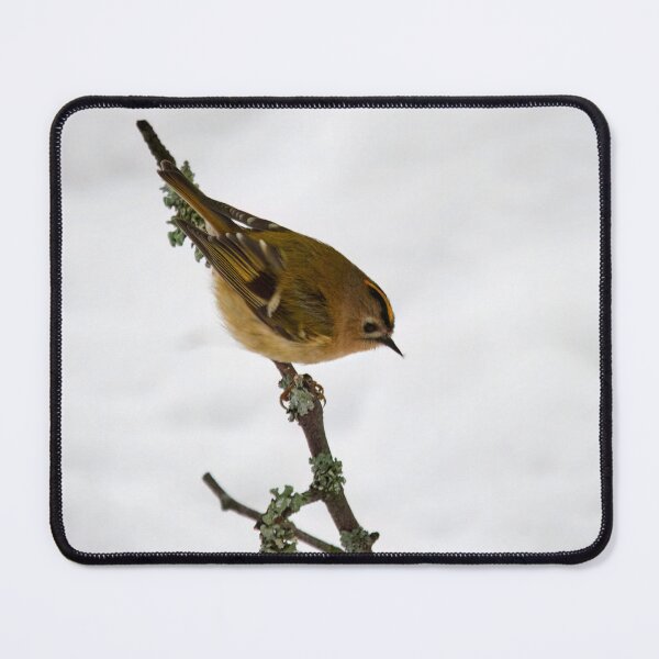 Item preview, Small smaller Goldcrest designed and sold by Jouko Lehto Photography.