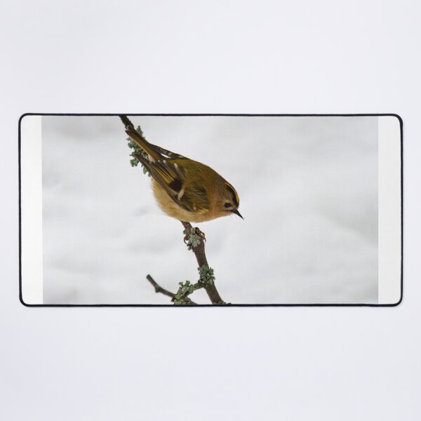 Item preview, Small smaller Goldcrest designed and sold by Jouko Lehto Photography.