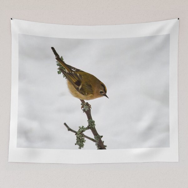 Item preview, Small smaller Goldcrest designed and sold by Jouko Lehto Photography.