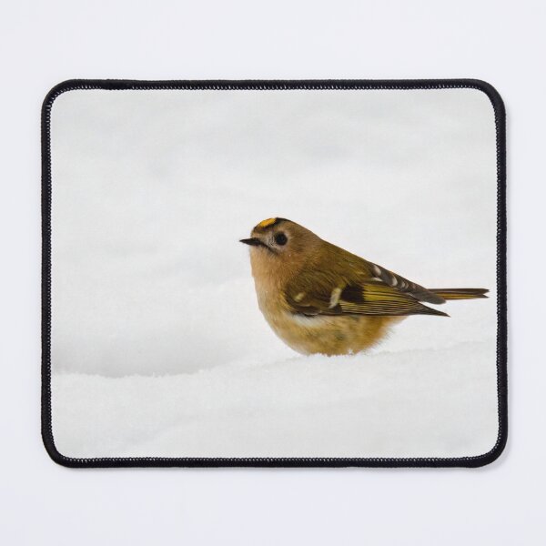Item preview, Goldcrest on the fresh snow designed and sold by Jouko Lehto Photography.