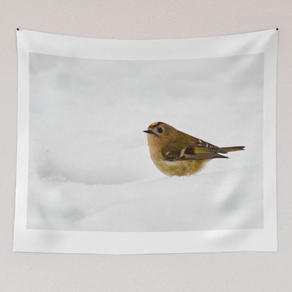 Item preview, Goldcrest on the fresh snow designed and sold by Jouko Lehto Photography.