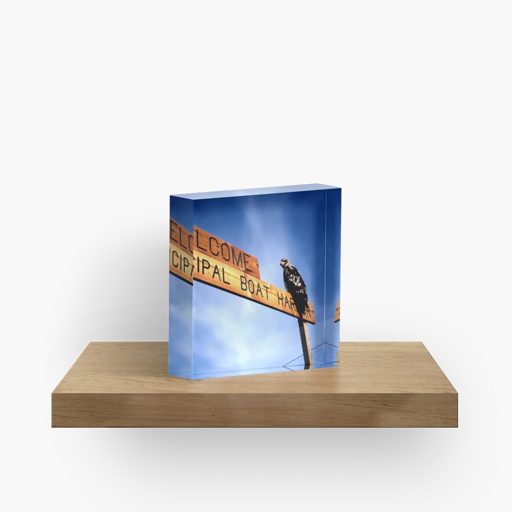 Item preview, Acrylic Block designed and sold by DaogreerEarth.