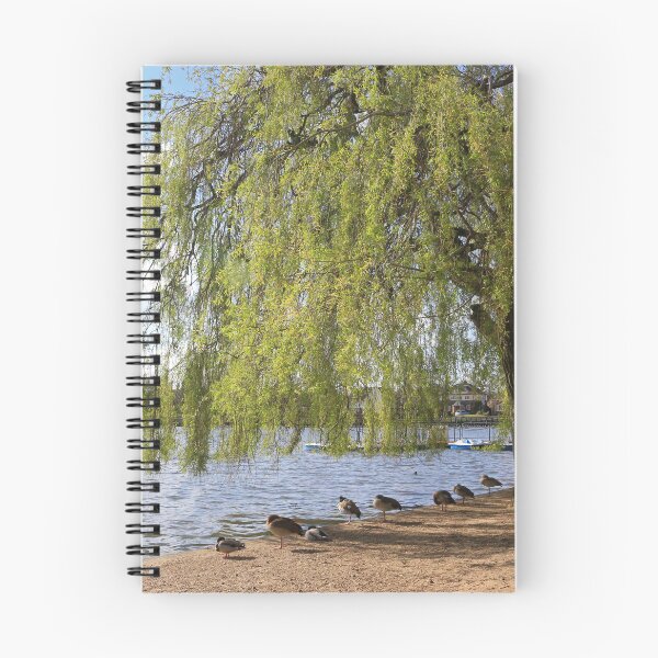 Item preview, Weeping Willow by a Pond designed and sold by pinkal.