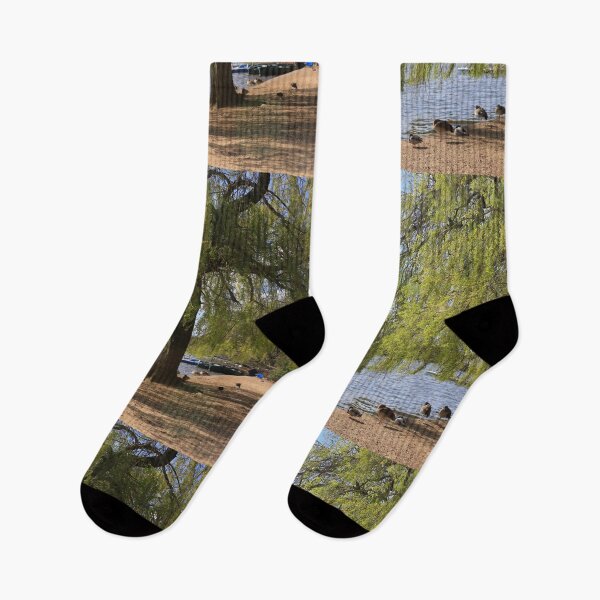 Item preview, Weeping Willow by a Pond designed and sold by pinkal.