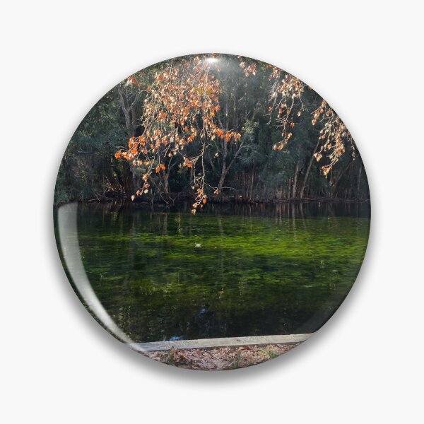 Item preview, Hyde Park, Perth, Western Australia designed and sold by NimbleFish.