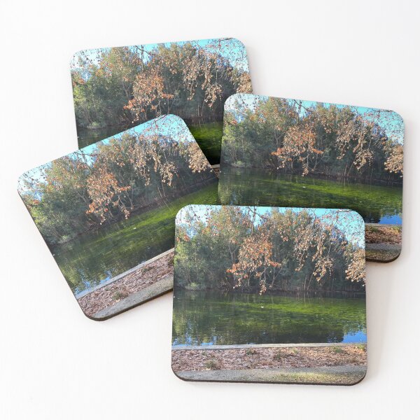 Item preview, Hyde Park, Perth, Western Australia designed and sold by NimbleFish.