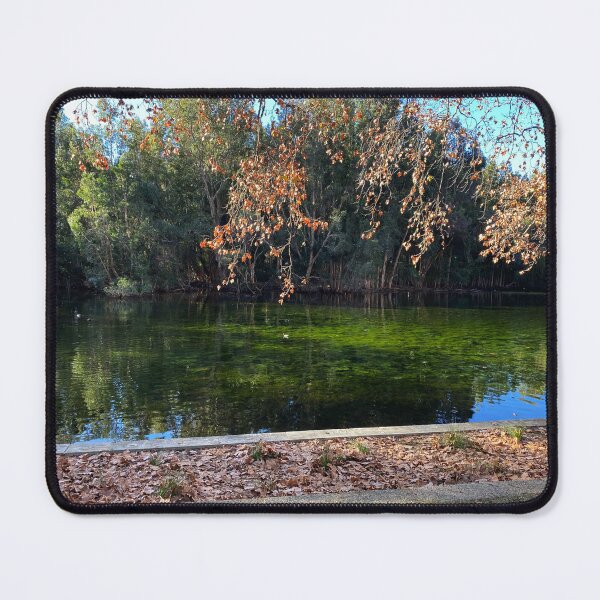 Item preview, Hyde Park, Perth, Western Australia designed and sold by NimbleFish.