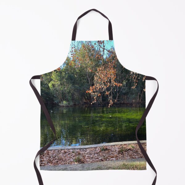 Item preview, Hyde Park, Perth, Western Australia designed and sold by NimbleFish.