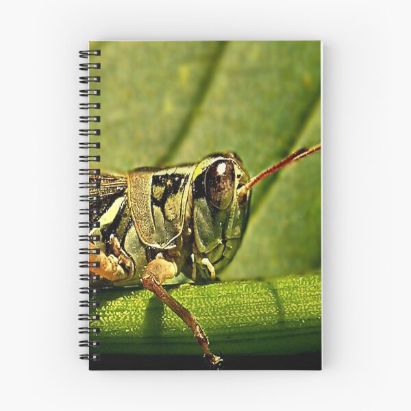 Item preview, Green Grasshopper~The Country Hopper designed and sold by Carla Jensen.
