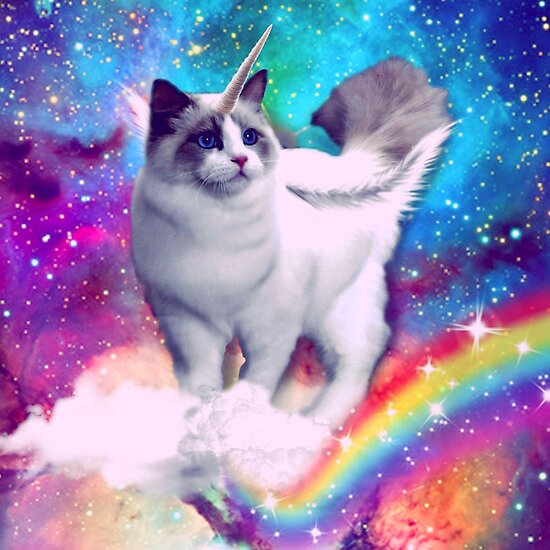 "Einhorn Katze Spece verrückte Katze Regen" Poster von BestPaintings