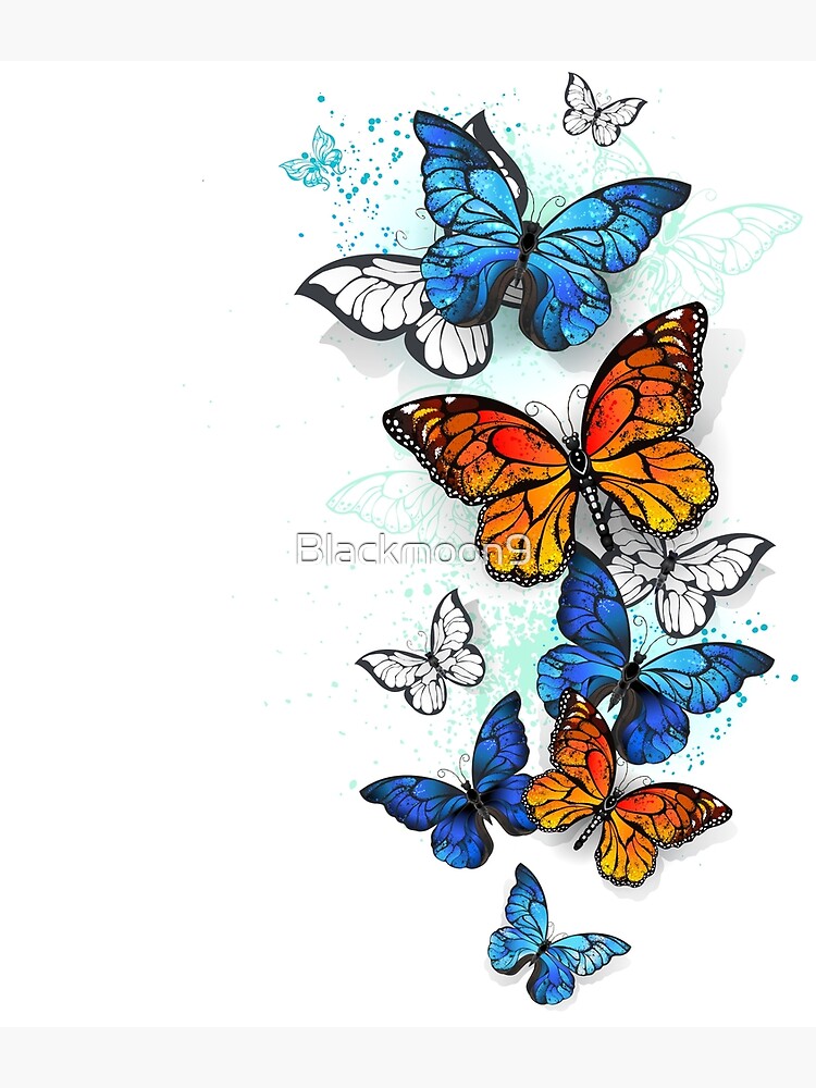 Póster for Sale con la obra «Mariposas voladoras Morpho y Monarca» de  Blackmoon9