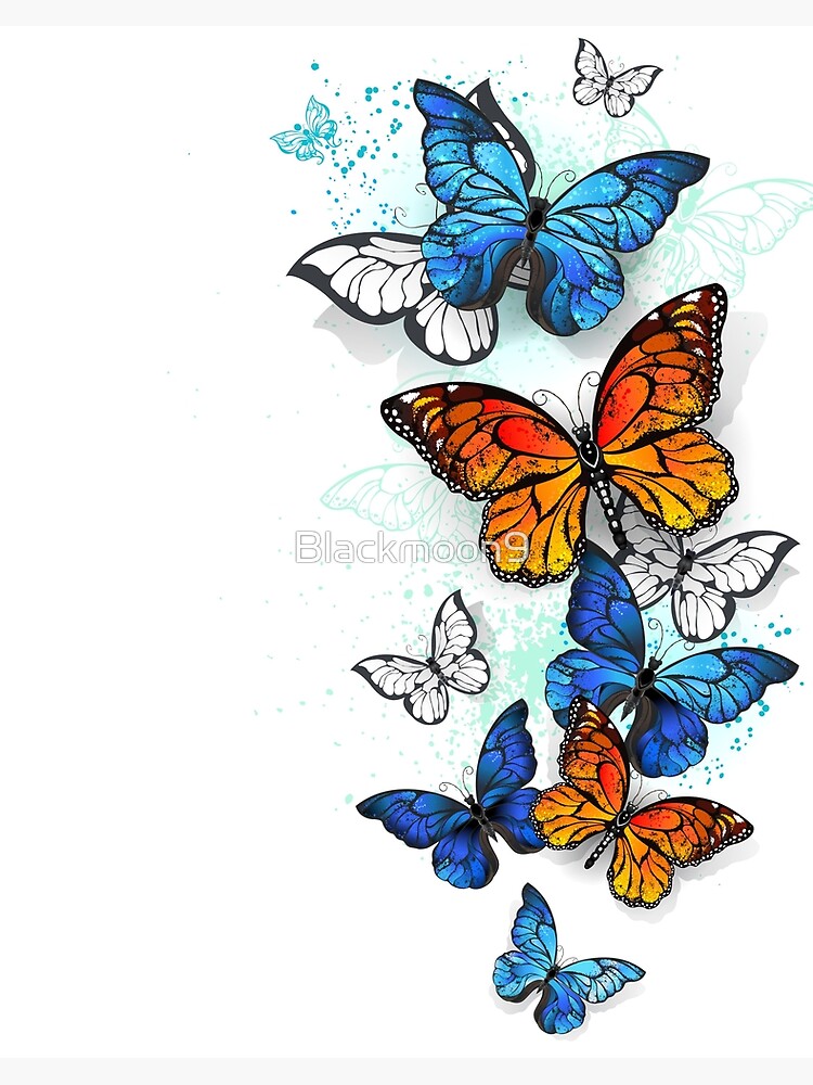 Galeriedruck for Sale mit Fliegende Schmetterlinge Morpho und