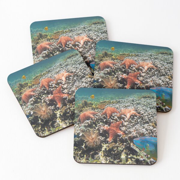 Item preview, Coral reef with starfish and colorful tropical fish Caribbean sea designed and sold by Seaphotoart.