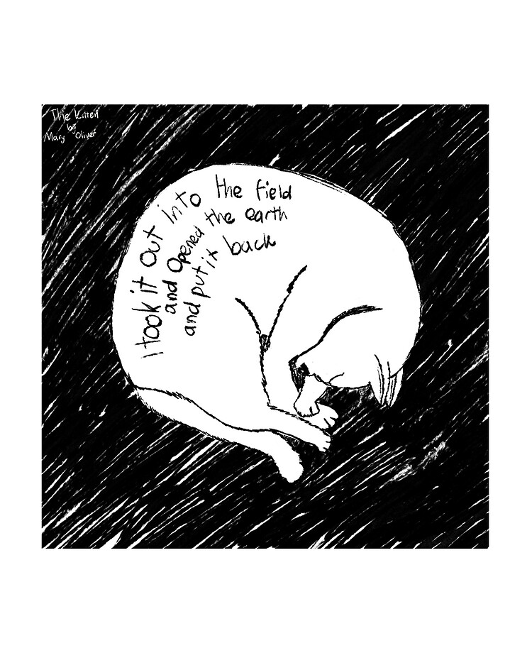 The Kitten Mary Oliver Hot Sale | www.changeyourwindows.com