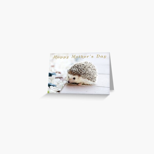 Old English Co. Hedgehog Goddaughter Card - Floral Birthday Card With Envelope