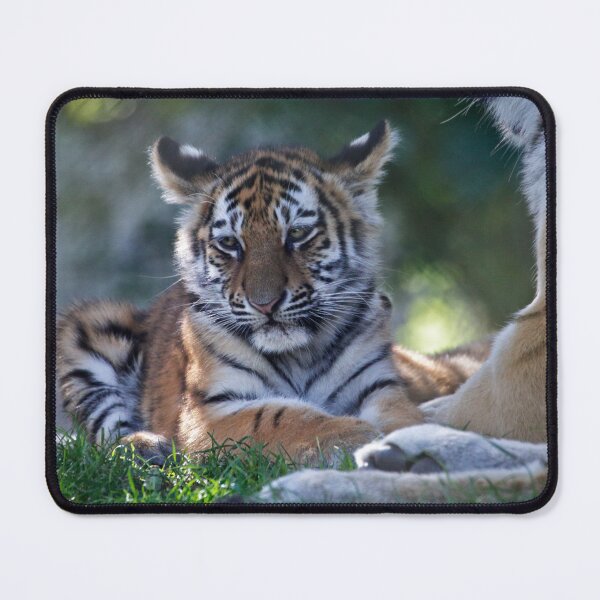 Item preview, Baby Amur Tiger designed and sold by Krys Bailey.
