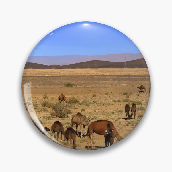 Item preview, Life in the desert designed and sold by annalisa56.