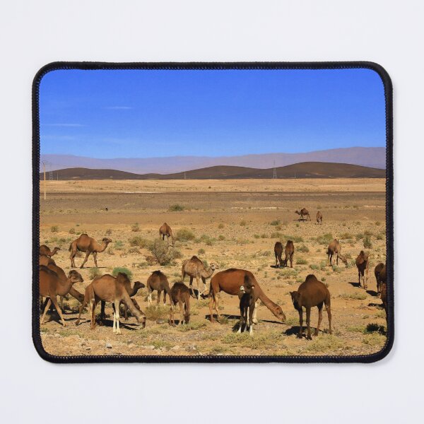 Item preview, Life in the desert designed and sold by annalisa56.
