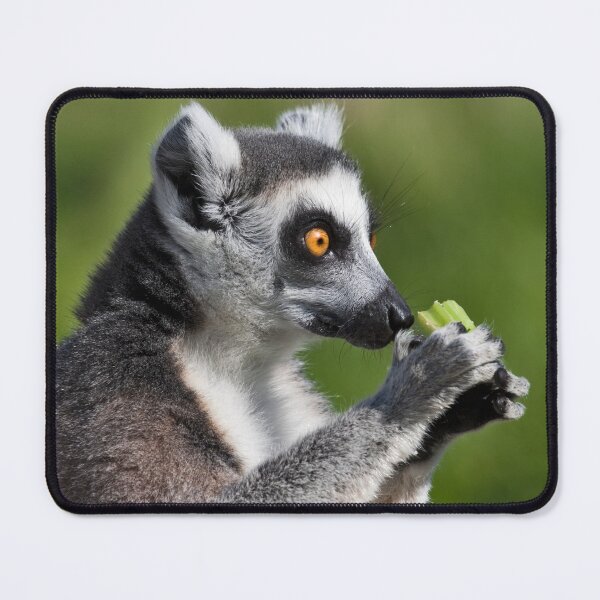 Item preview, Oh No - Not Celery Again designed and sold by Krys Bailey.
