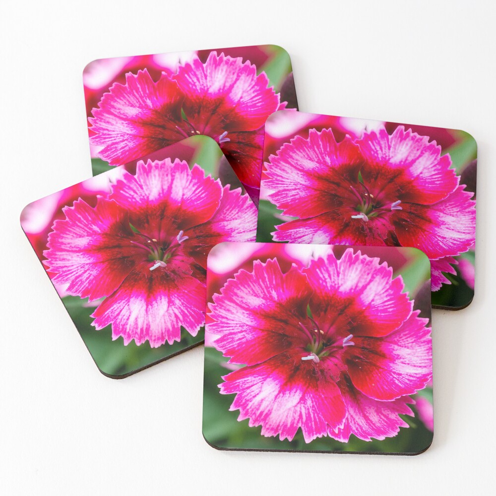 Item preview, Coasters (Set of 4) designed and sold by Tanya24.