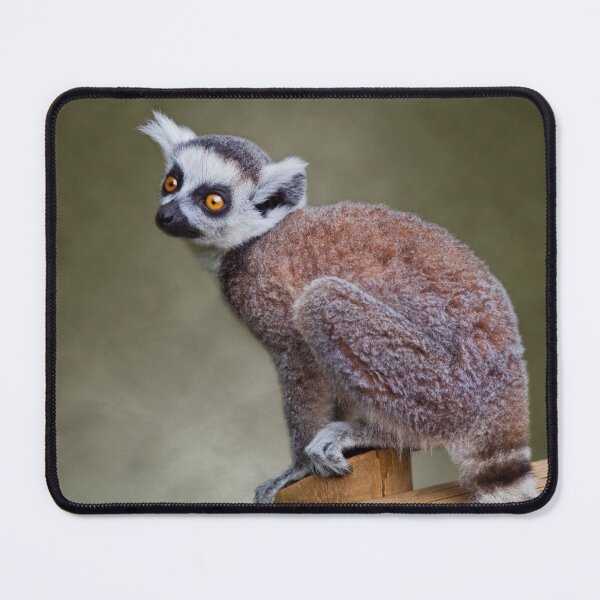 Item preview, Little Lemur designed and sold by Krys Bailey.