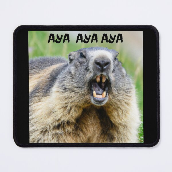 Item preview, aya aya marmot lovers gift designed and sold by shirtkosa.