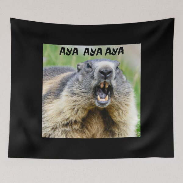 Item preview, aya aya marmot lovers gift designed and sold by shirtkosa.