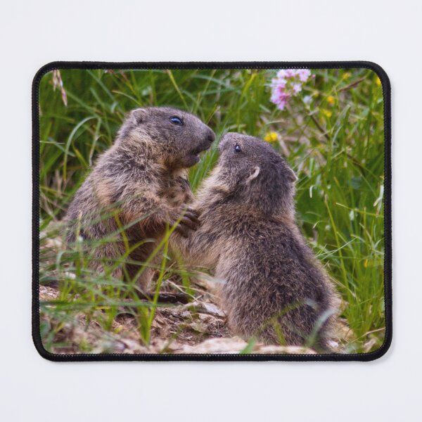 Item preview, Sparring Partners designed and sold by Krys Bailey.