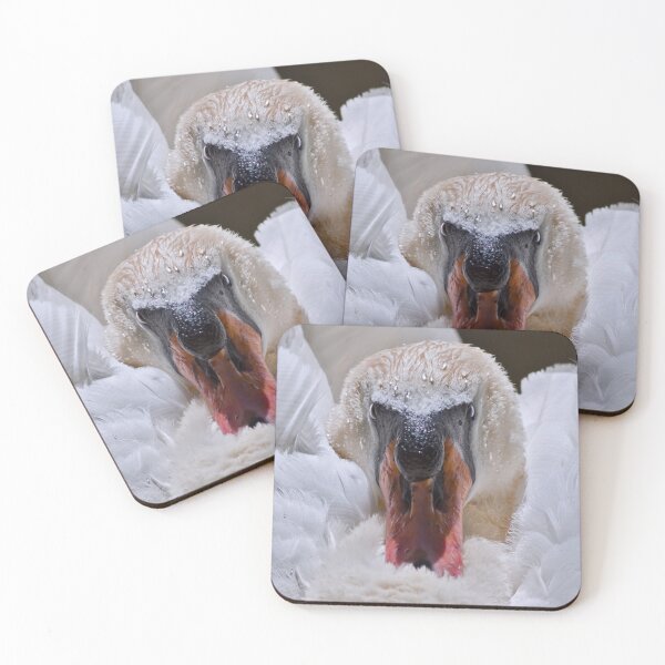 Item preview, Face Off designed and sold by Krys Bailey.