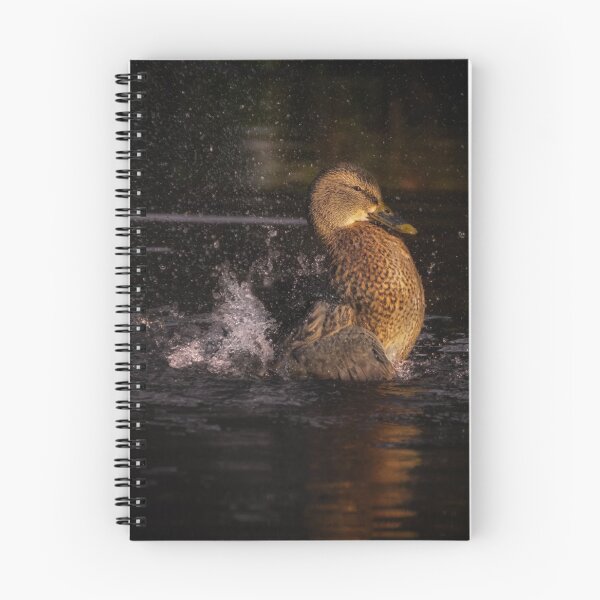 Item preview, Splish Splash designed and sold by lyttonimages.