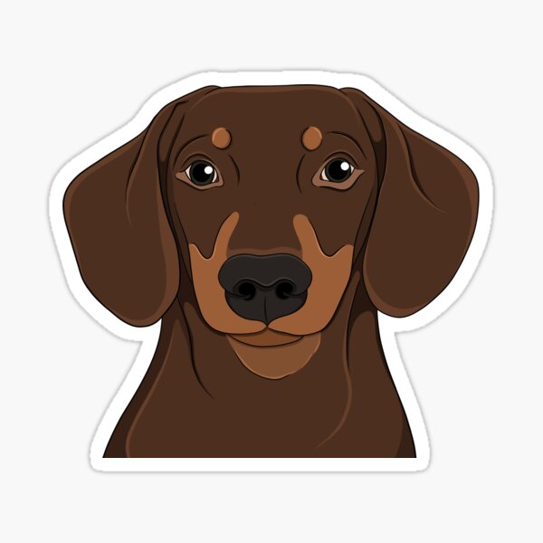 Item preview, Cute Chocolate and Tan Dachshund - sausage dog, brown dog, miniature sausage dog designed and sold by SoohieArt.