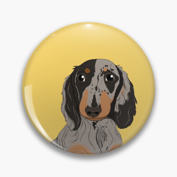 Item preview, Cute Dapple long hair Dachshund - sausage dog, brown dog, miniature sausage dog, dapple dog, red dapple, chocolate dapple designed and sold by SoohieArt.