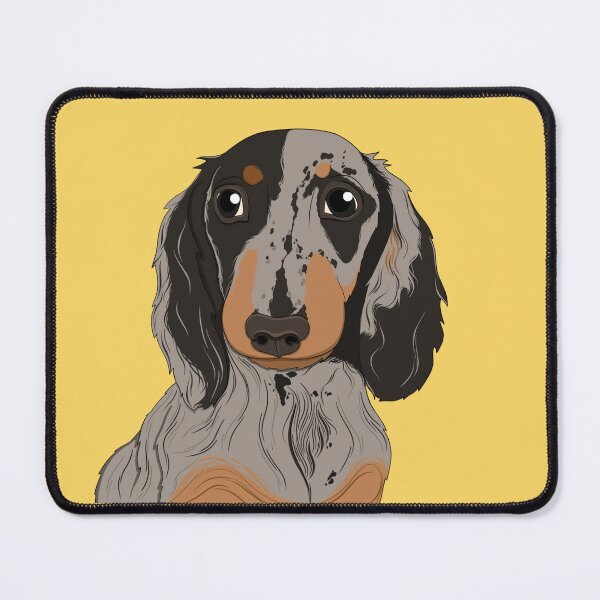 Item preview, Cute Dapple long hair Dachshund - sausage dog, brown dog, miniature sausage dog, dapple dog, red dapple, chocolate dapple designed and sold by SoohieArt.