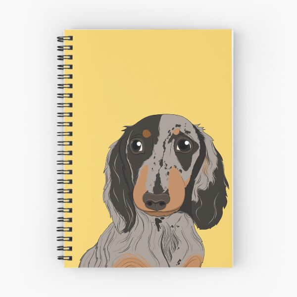 Item preview, Cute Dapple long hair Dachshund - sausage dog, brown dog, miniature sausage dog, dapple dog, red dapple, chocolate dapple designed and sold by SoohieArt.