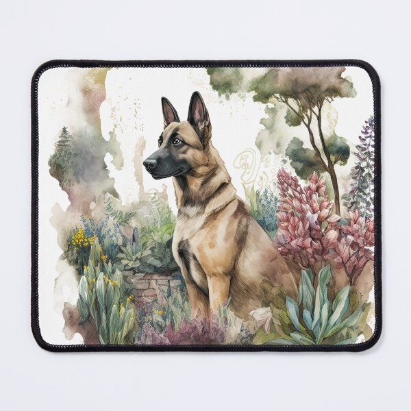 Item preview, Belgian Malinois Dog Owner Gift - Watercolor Illustration designed and sold by Shmueli Bell.