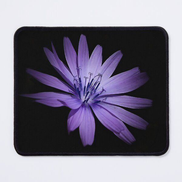 Item preview, Violet flower (perennial lettuce) designed and sold by NBKdesign.