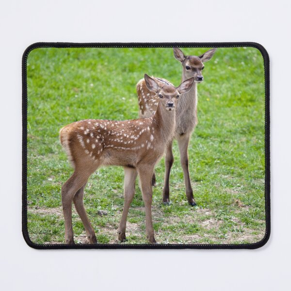 Item preview, Red Deer Fawns designed and sold by Krys Bailey.