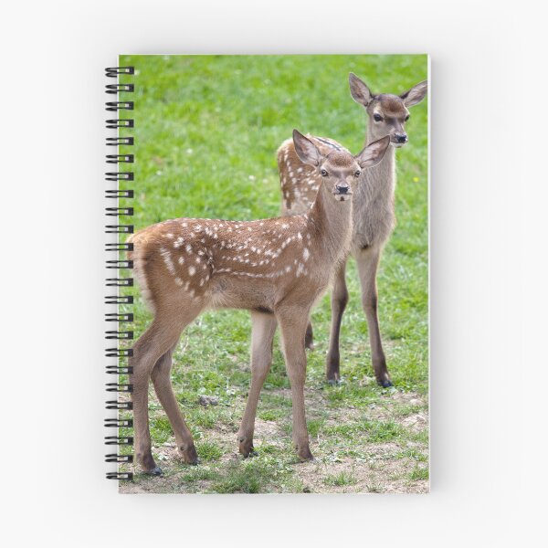 Item preview, Red Deer Fawns designed and sold by Krys Bailey.