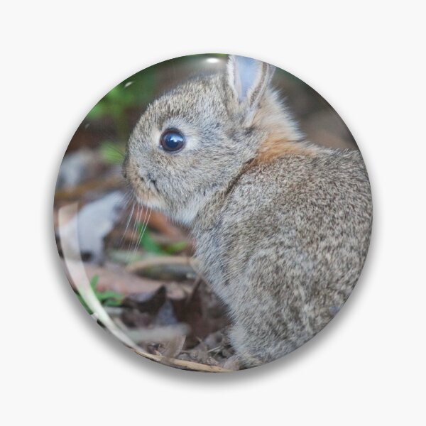 Item preview, Baby Wild Rabbit designed and sold by Krys Bailey.