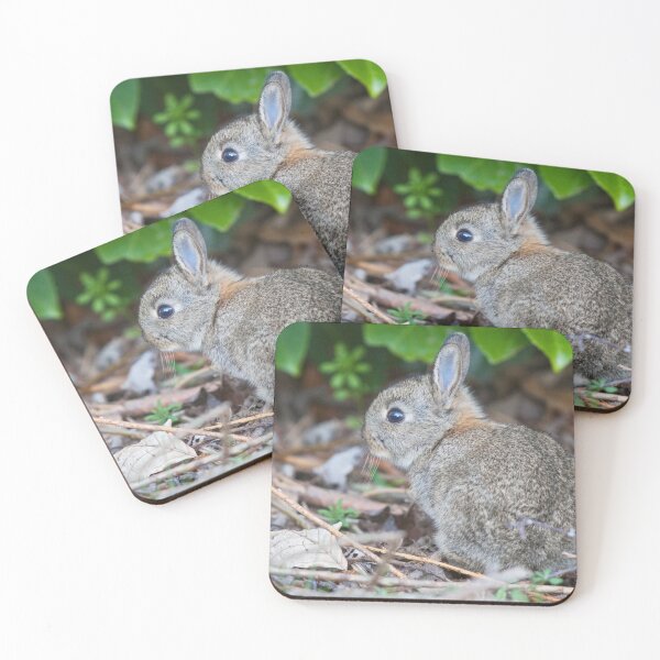 Item preview, Baby Wild Rabbit designed and sold by Krys Bailey.