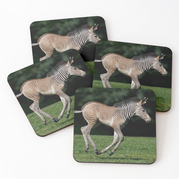 Item preview, Grevy's Zebra Foal designed and sold by Krys Bailey.