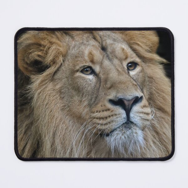 Item preview, The King designed and sold by Krys Bailey.
